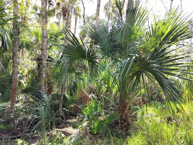 10008 W PENNSYLVANIA STREET, Homosassa, FL 34448