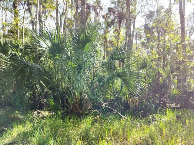 10008 W PENNSYLVANIA STREET, Homosassa, FL 34448