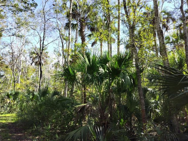10008 W PENNSYLVANIA STREET, Homosassa, FL 34448