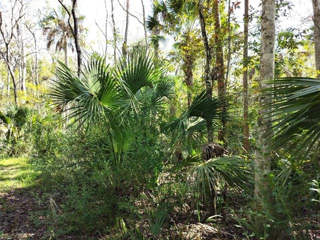 10008 W PENNSYLVANIA STREET, Homosassa, FL 34448