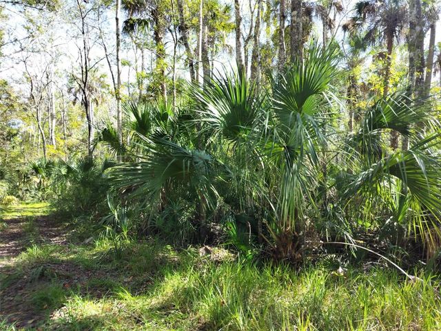 10008 W PENNSYLVANIA STREET, Homosassa, FL 34448