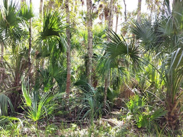 10008 W PENNSYLVANIA STREET, Homosassa, FL 34448
