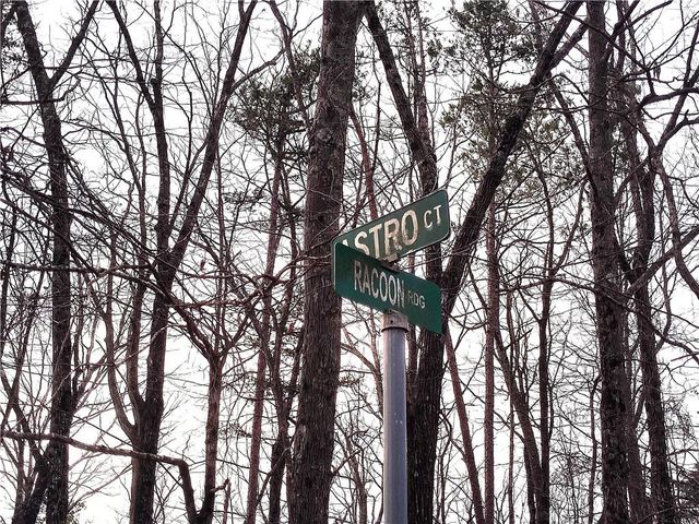 1036 Astro NE Court, Ranger, GA 30734