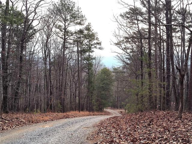 1036 Astro NE Court, Ranger, GA 30734