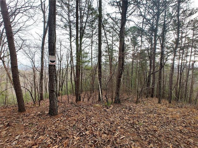 1036 Astro NE Court, Ranger, GA 30734