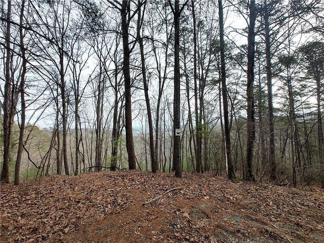 1036 Astro NE Court, Ranger, GA 30734