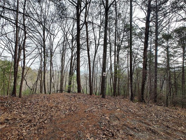 1036 Astro NE Court, Ranger, GA 30734