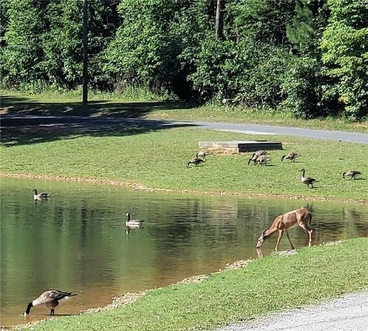 1036 Astro NE Court, Ranger, GA 30734