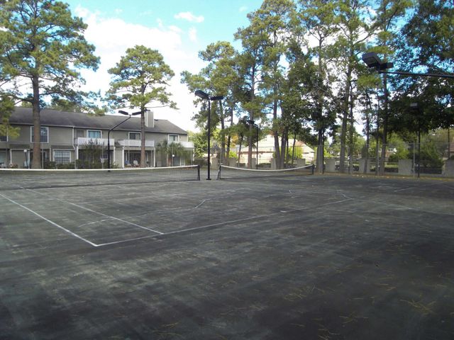 14911 Wunderlich Drive 1108, Houston, TX 77069