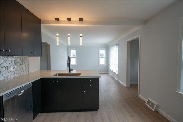 19200 Pasnow Avenue, Euclid, OH 44119