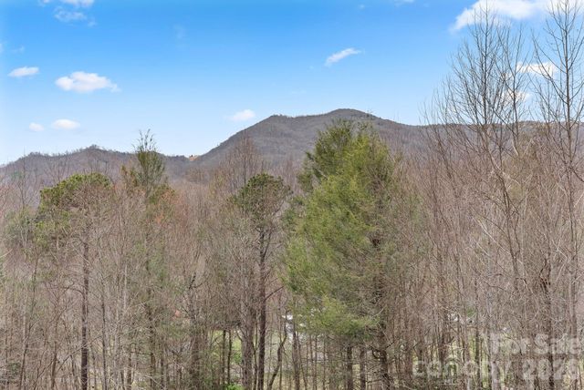 264 Moonbeam Lane, Clyde, NC 28721