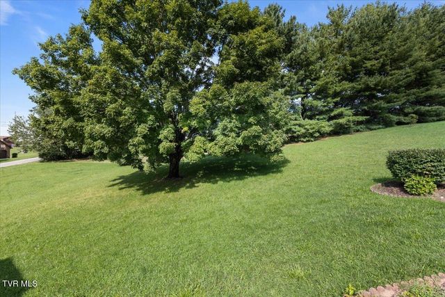 207 Hermosa Drive, Fall Branch, TN 37656