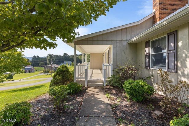207 Hermosa Drive, Fall Branch, TN 37656