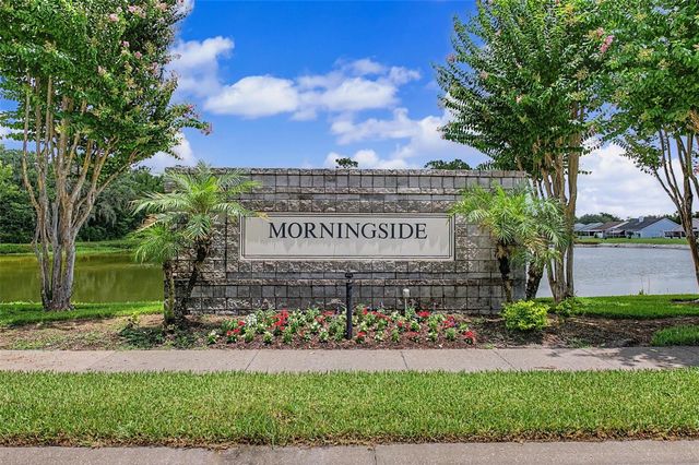29641 FOG HOLLOW DRIVE, Wesley Chapel, FL 33543