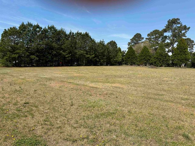 100 Ole Nobleman Ct., Conway, SC 29527