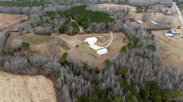 12607 Edward Rowland Rd, Northport, AL 35475