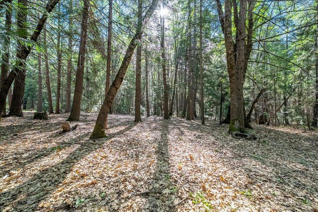 3000 Succor Ln, Foresthill, CA 95631