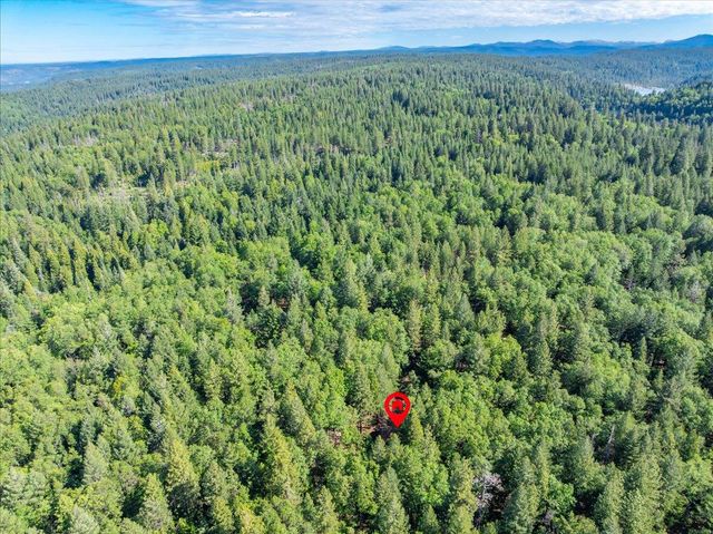 3000 Succor Ln, Foresthill, CA 95631