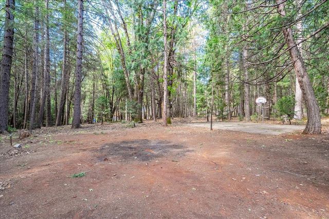 3000 Succor Ln, Foresthill, CA 95631