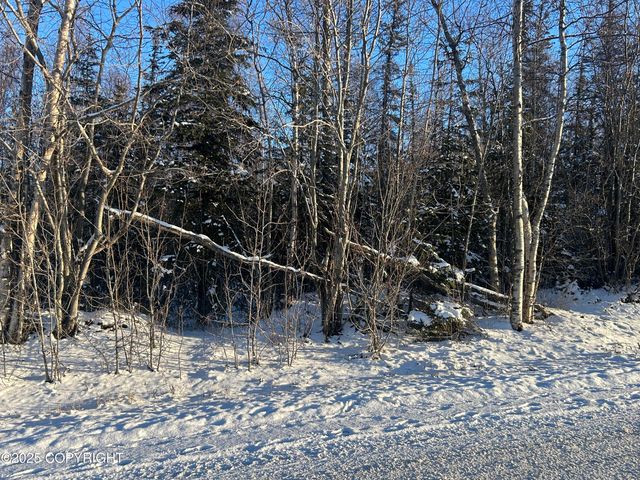 6493 S Viewport Way, Wasilla, AK 99623