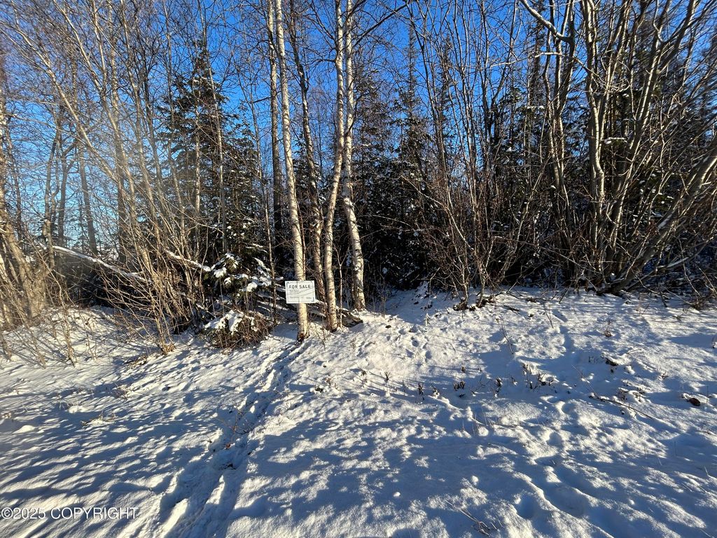 6493 S Viewport Way, Wasilla, AK 99623