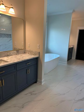 253 Bobo Road, Hazel Green, AL 35750