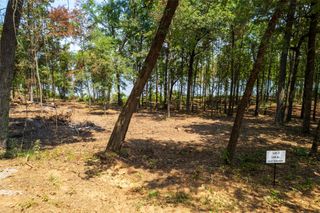 TBD PR52447, Leesburg, TX 75451
