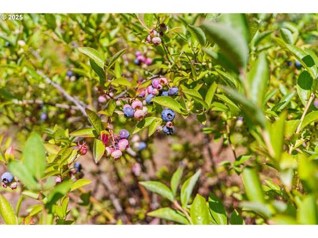 80939 TURKEY RUN Rd, Creswell, OR 97426