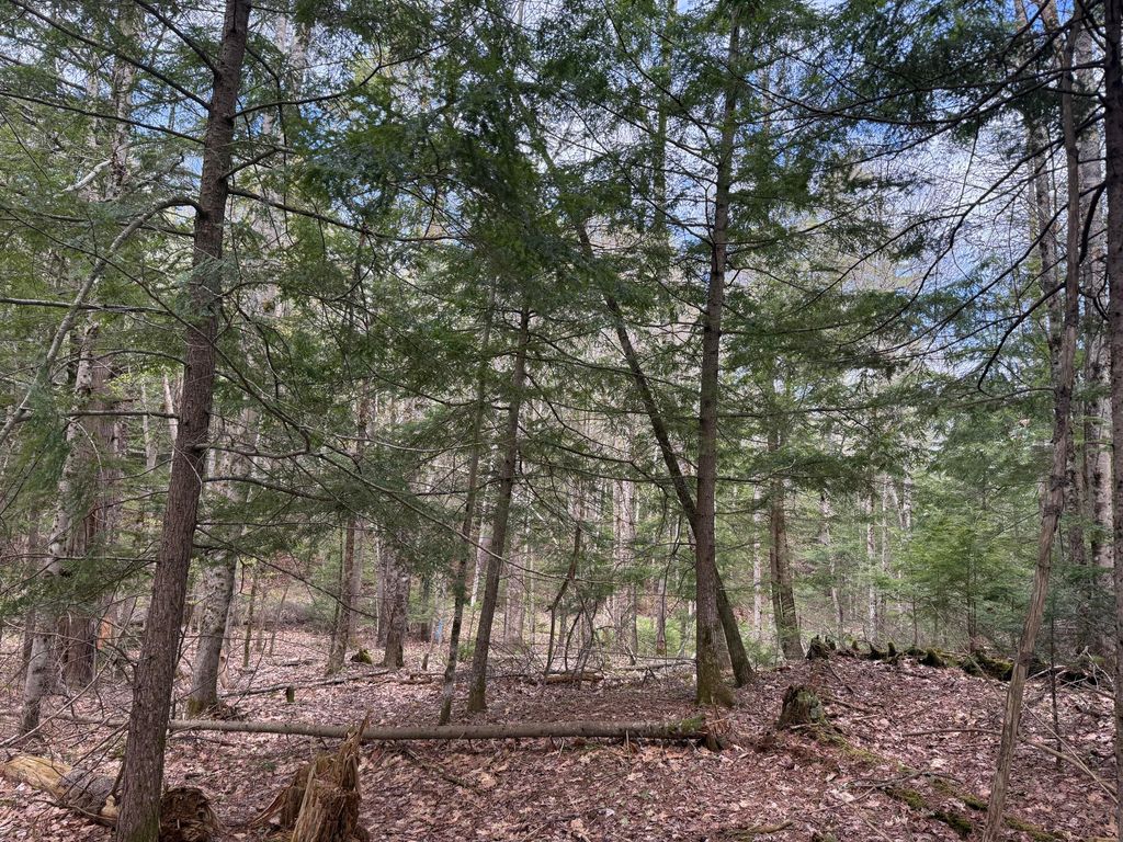Lot 8F3-B Lord Road, Buxton, ME 04093 — exterior