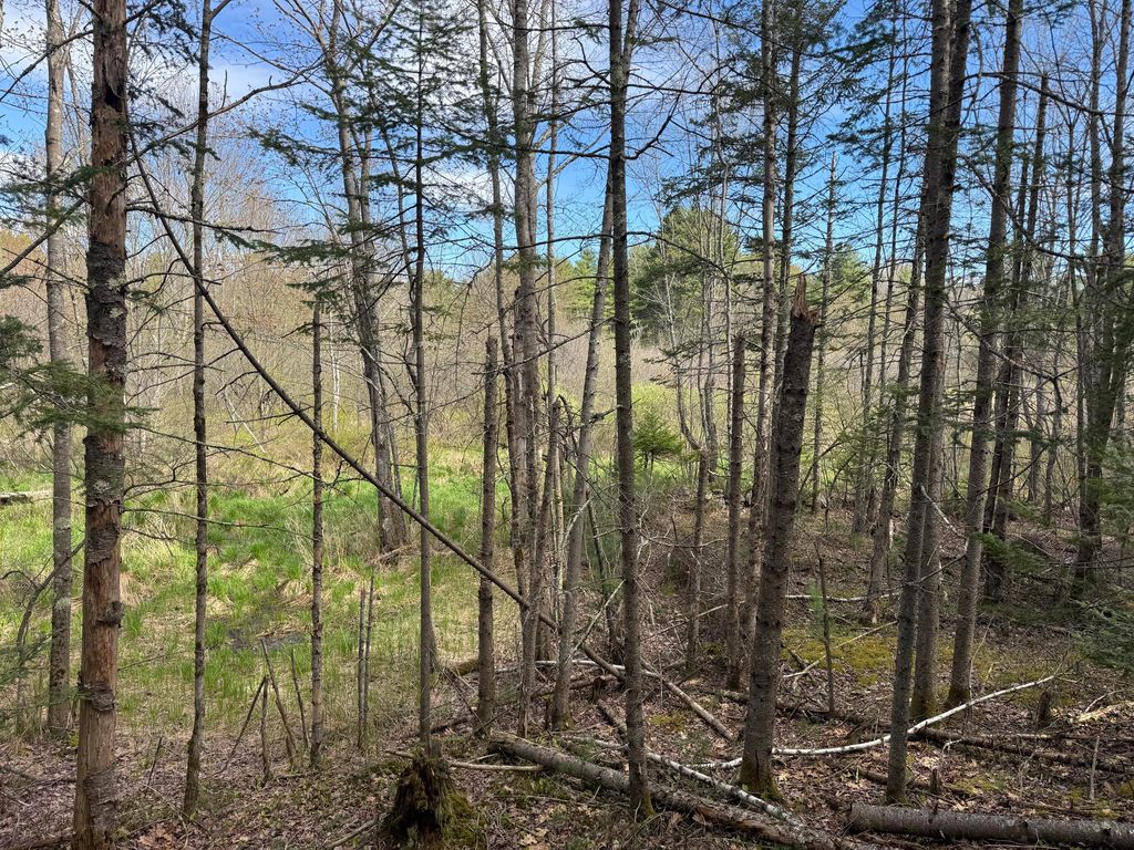 Lot 8F3-B Lord Road, Buxton, ME 04093 — photo 4