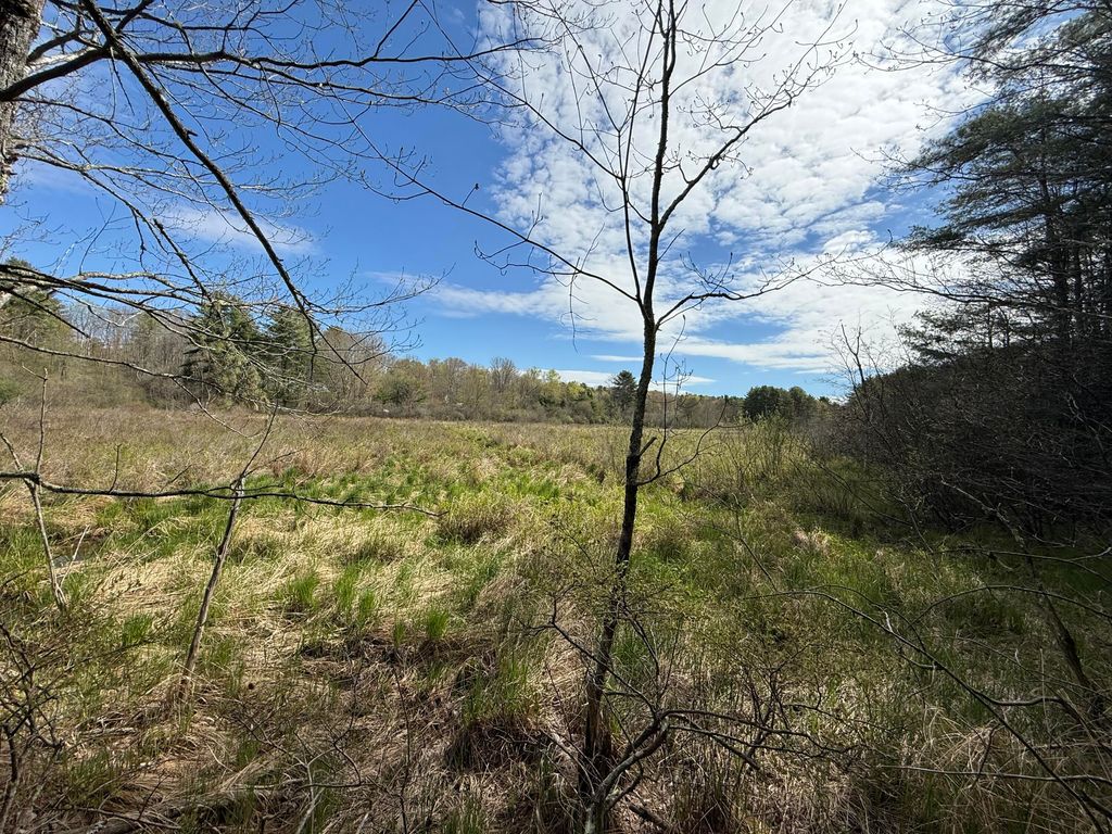 Lot 8F3-B Lord Road, Buxton, ME 04093 — photo 5