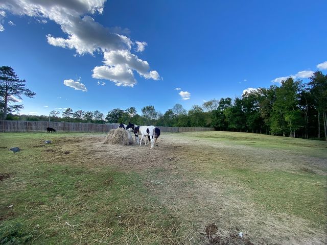 1260 Toy Denny Rd, Bradyville, TN 37026