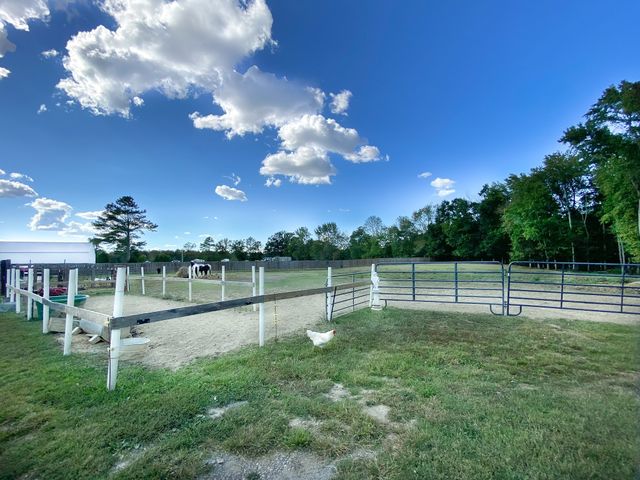1260 Toy Denny Rd, Bradyville, TN 37026