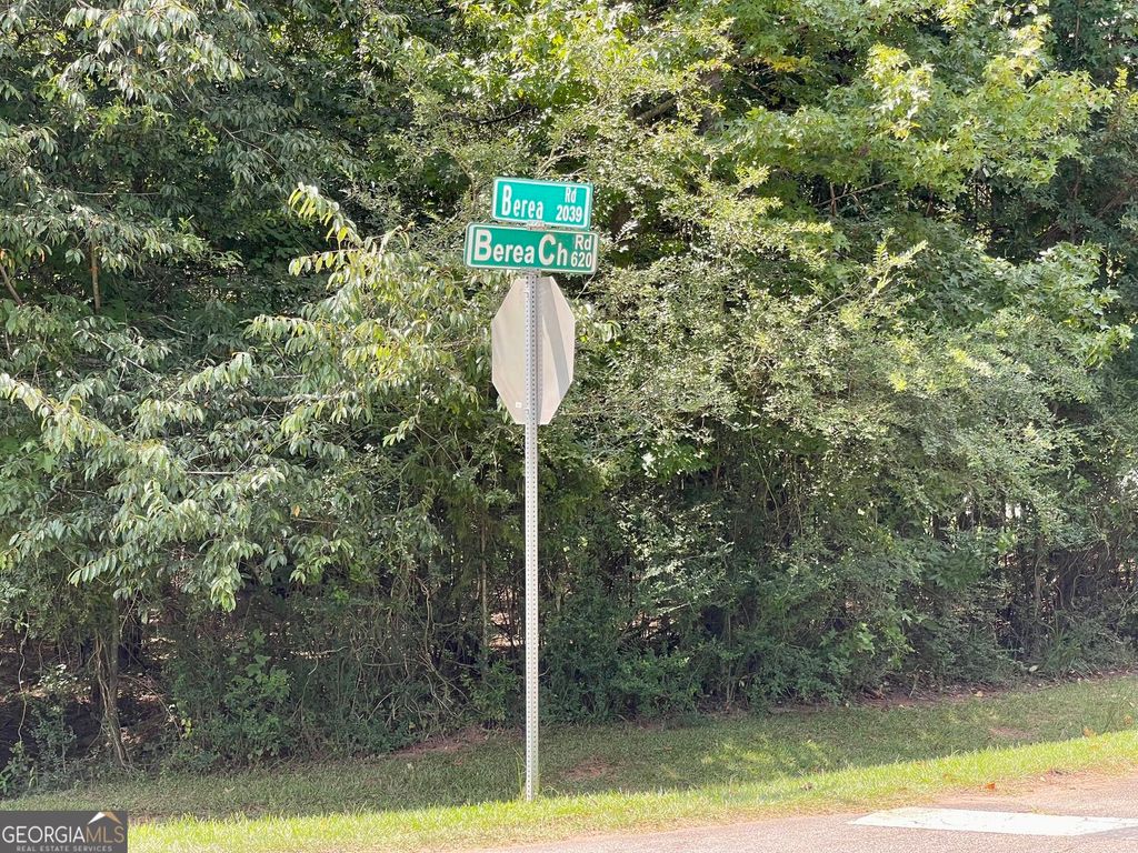 393 Harmony Gates Drive, Commerce, GA 30530 — photo 5