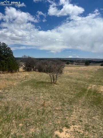 3615 Summertime Court, Monument, CO 80132