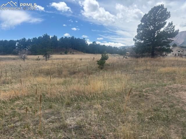 3615 Summertime Court, Monument, CO 80132