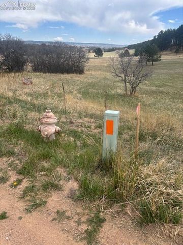 3615 Summertime Court, Monument, CO 80132