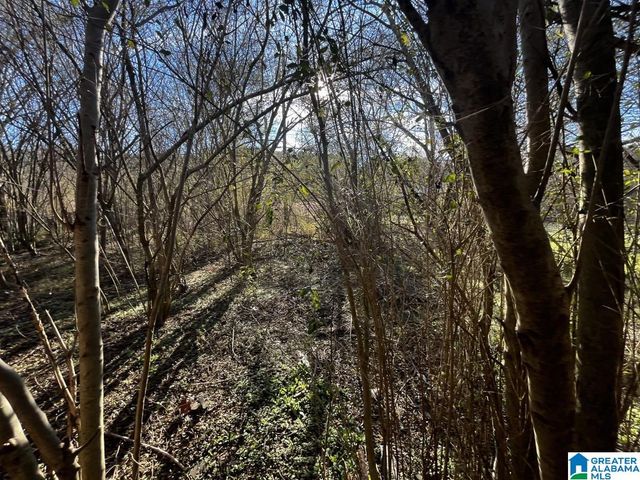 7453 BELGIUM AVENUE, Birmingham, AL 35224