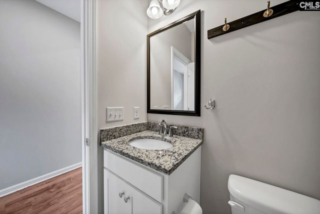 419 Saylor Hall Lane, Chapin, SC 29036