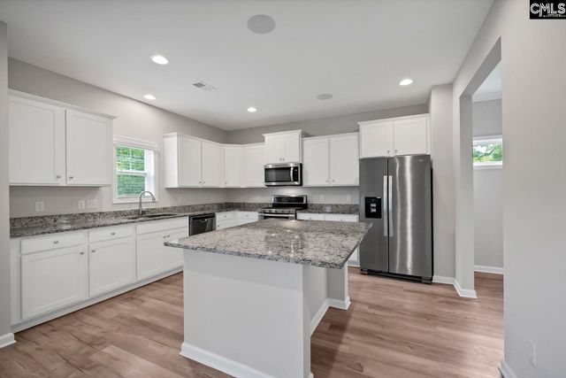 419 Saylor Hall Lane, Chapin, SC 29036