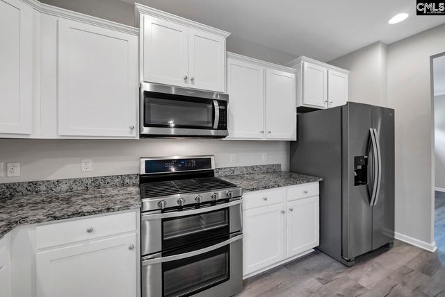 419 Saylor Hall Lane, Chapin, SC 29036
