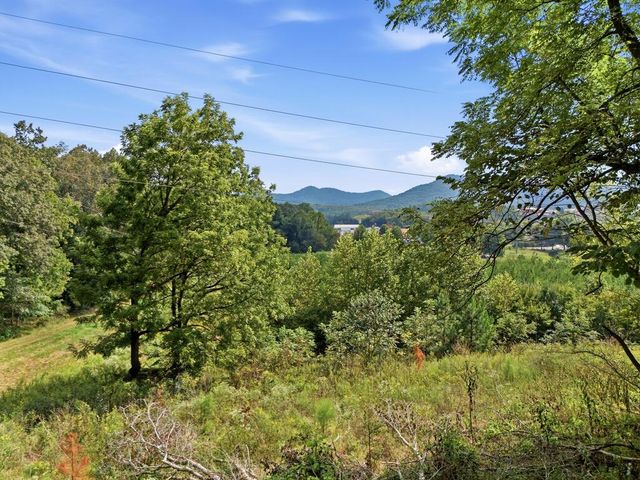 22 Gardenia Way, Blairsville, GA 30512