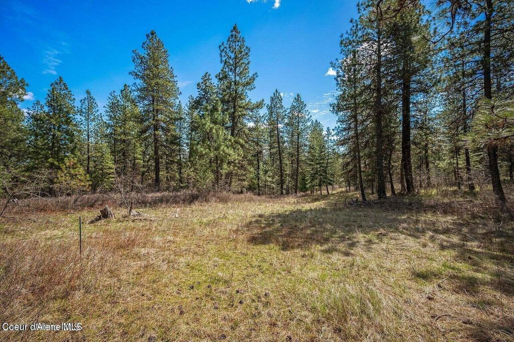 NKA W Sunmeadow Rd, Worley, ID 83876
