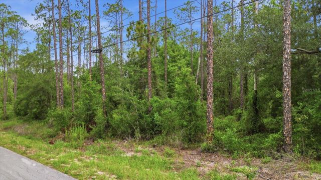 0000 SW NAUTILUS BOULEVARD, Dunnellon, FL 34431
