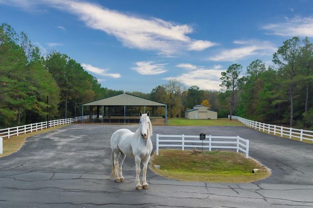 17539 Julianne Drive, Waller, TX 77484