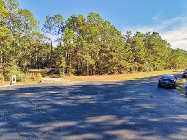 17539 Julianne Drive, Waller, TX 77484