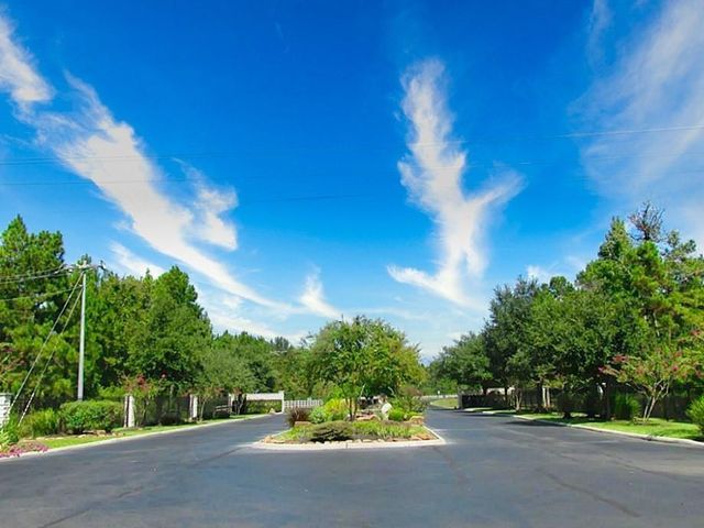 17539 Julianne Drive, Waller, TX 77484