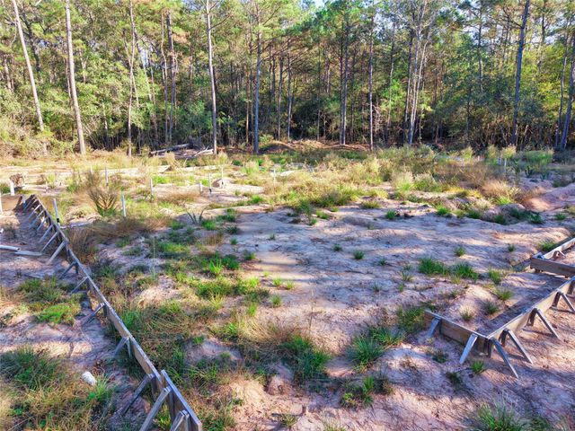 17539 Julianne Drive, Waller, TX 77484