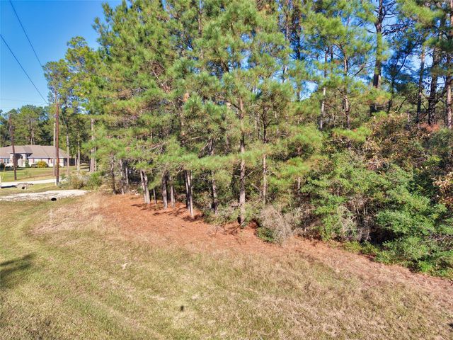 17539 Julianne Drive, Waller, TX 77484