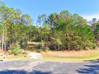 17539 Julianne Drive, Waller, TX 77484